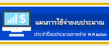 icon-แผนการใช้จ่ายงบประมาณประจำปี-2566